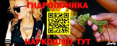 стафф Мариинск