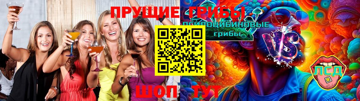 Сердобск  Галлюциногенные грибы прущие грибы  Вход с VPN 