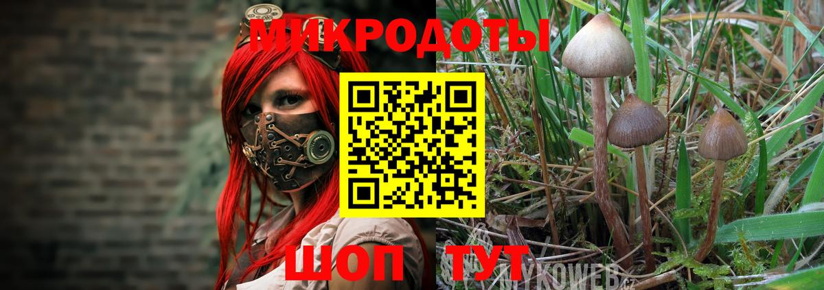 Псилоцибиновые грибы прущие грибы Сердобск